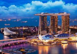 旺财28.ccpc29APP2024最新版